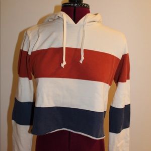 Pacsun Cropped Hoodie